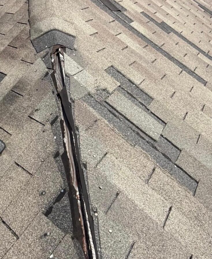 WhatsApp Image 2025-10-01 at 2.25.44 PM